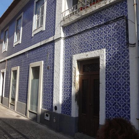 Ficus Benjamina Apartamento Aveiro Exterior foto